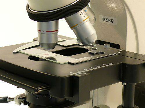 Microscopio-elettronico-per-effettuare-le-biopsie