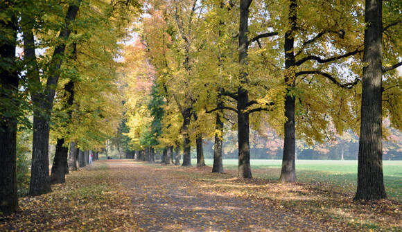 parco-di-monza-autunno-mb