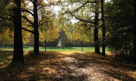 Parco di Monza - prato-alberi-mb