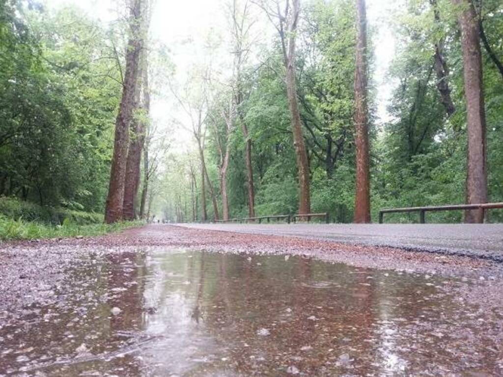 pioggia parco di monza mb