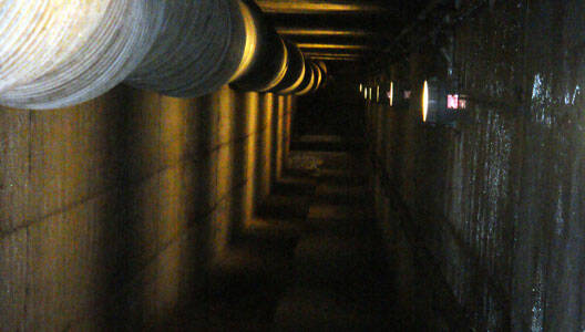 Tunnel-Bosco-delle-Querce-mb