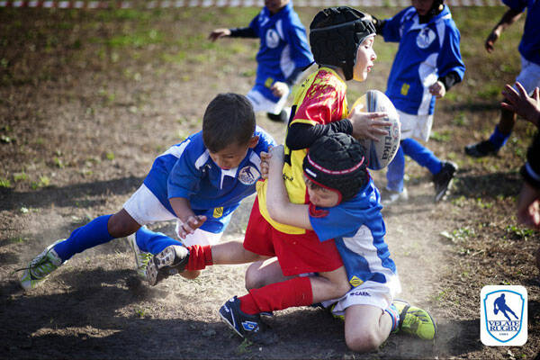 Velate-rugby-Torneo1