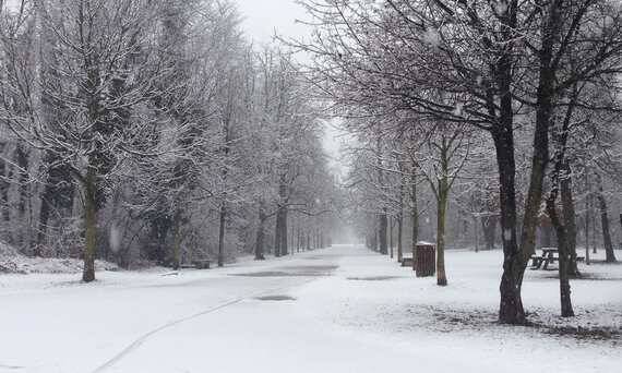 neve febbraio 2015 monza e brianza - mb   (9)