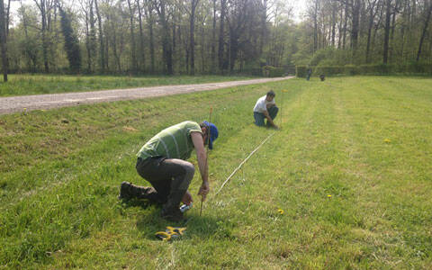 frutteto-matematico-Scuola-Agraria-Parco-Monza