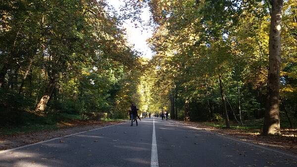 monza viale cavriga new mb 1