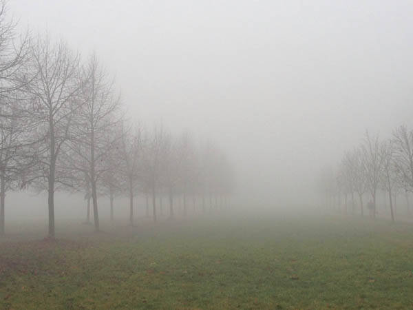 nebbia-monza-parco-mb