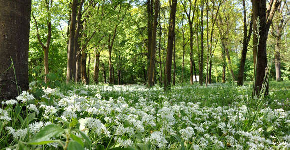 Monza-Parco-Primavera14-mb-600x