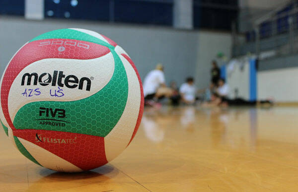 pallavolo-palla-free-web