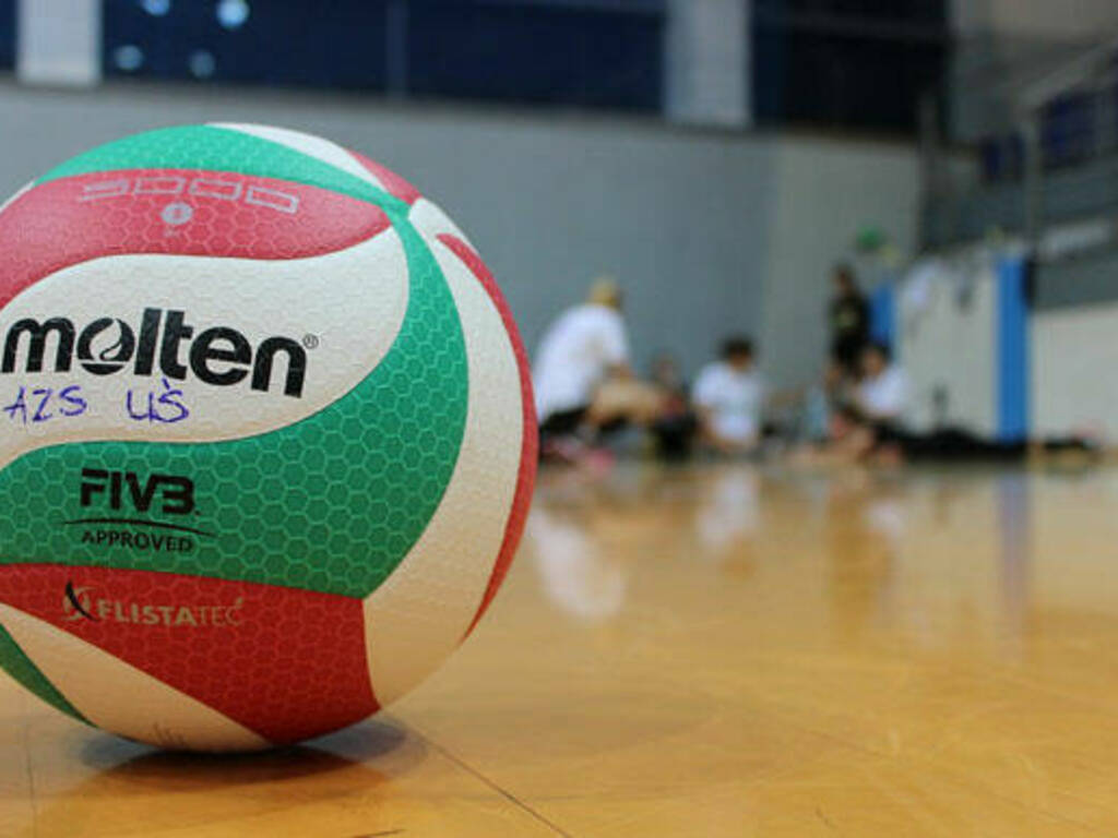 pallavolo-palla-free-web