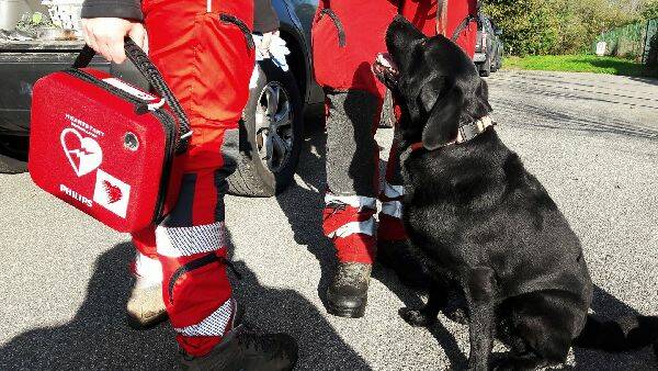 the-rescue-dog-defibrillatore-cane-brianza-per-il-cuore