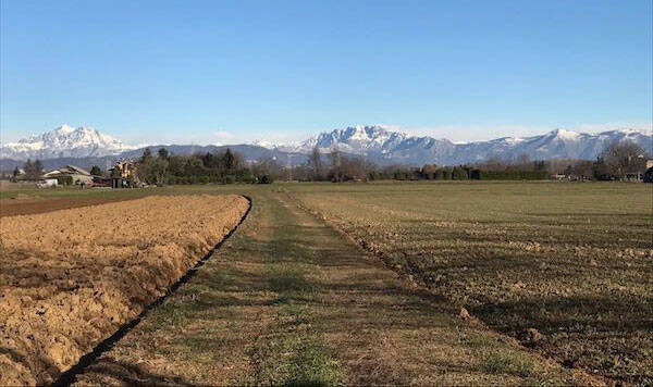 pane-parco-agricolo-nord-est--campo-mb