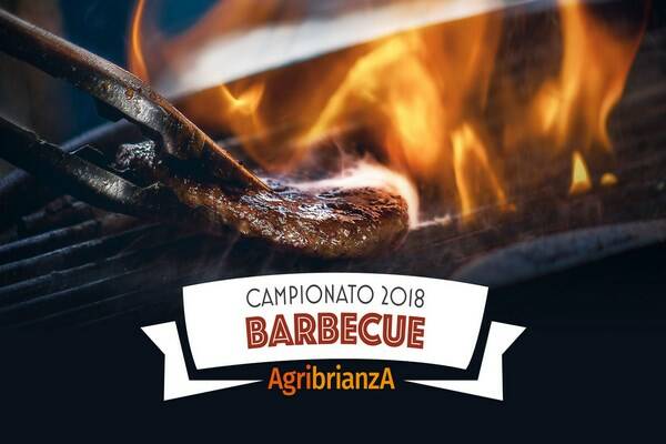 campionato-barbecue-agribrianza1 (Copia)