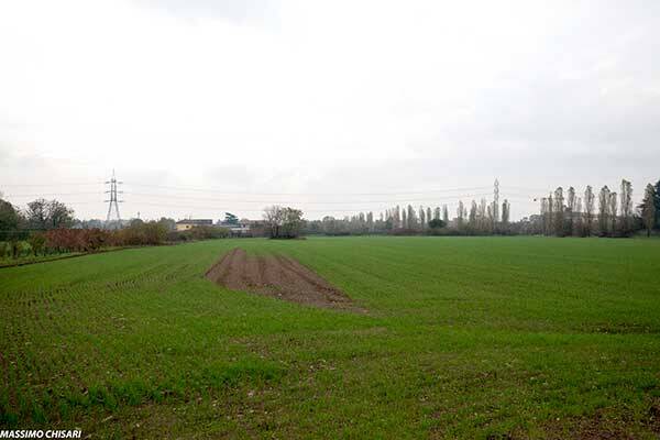 Varedo-alberi-per-il-futuro-piantumazione-viale-bagatti1-mb