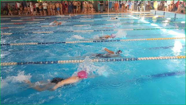 in sport festa finale nuoto 1