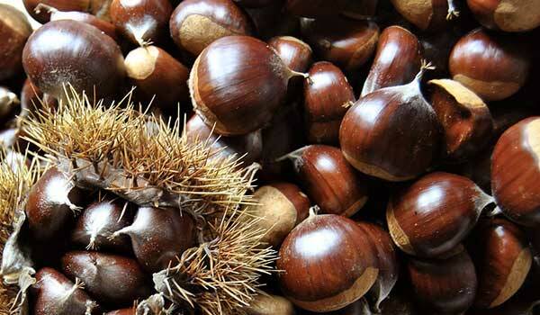 castagne-autunno-free-web