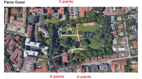 Parco - Gussi - piante