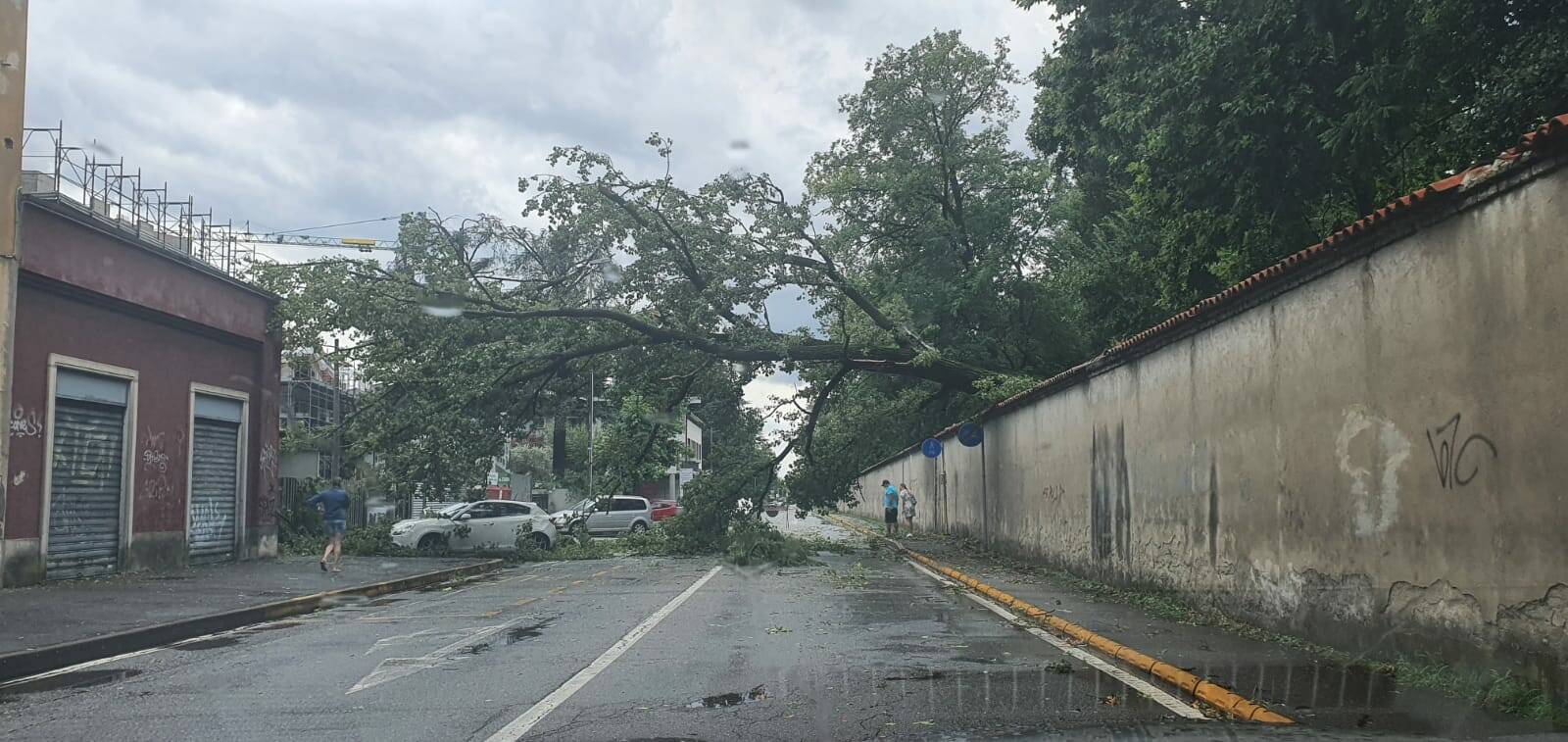 grosso albero crollato a Villasanta parco di Monza