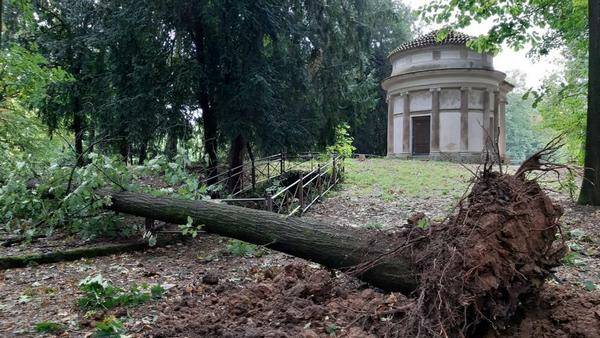 giardini della villa reale alberi caduti 01