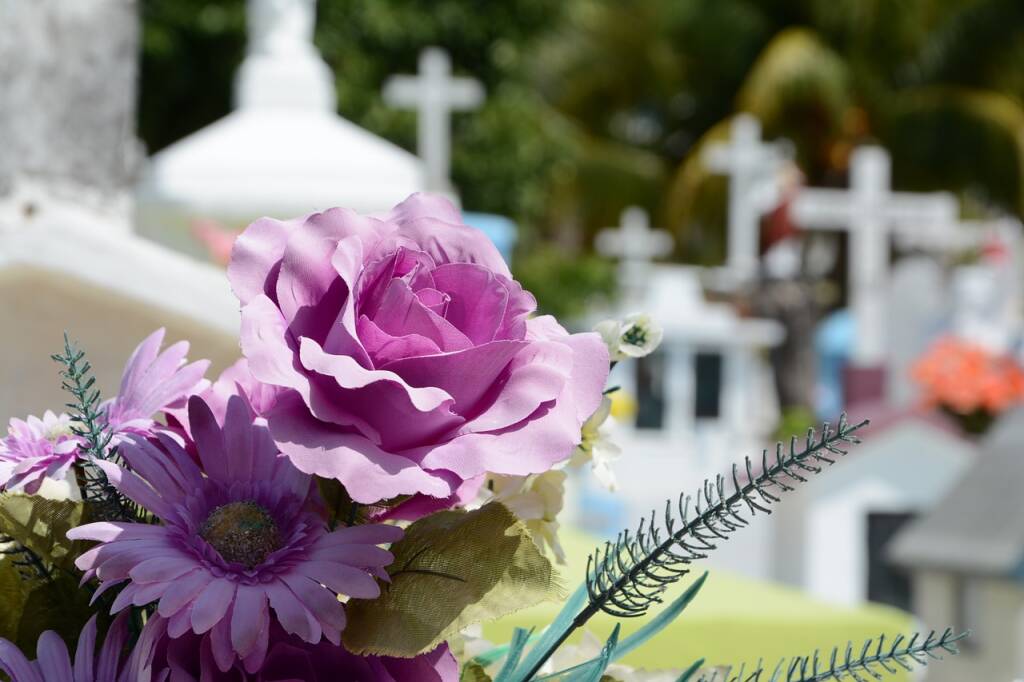 cimitero fiori free web