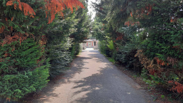 Cimitero Velasca degrado