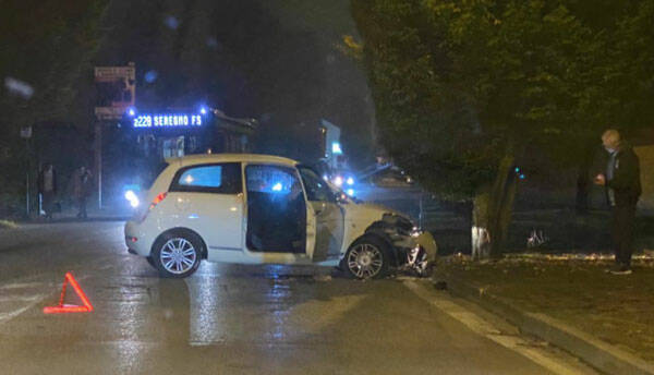 auto-contro-albero-lissone