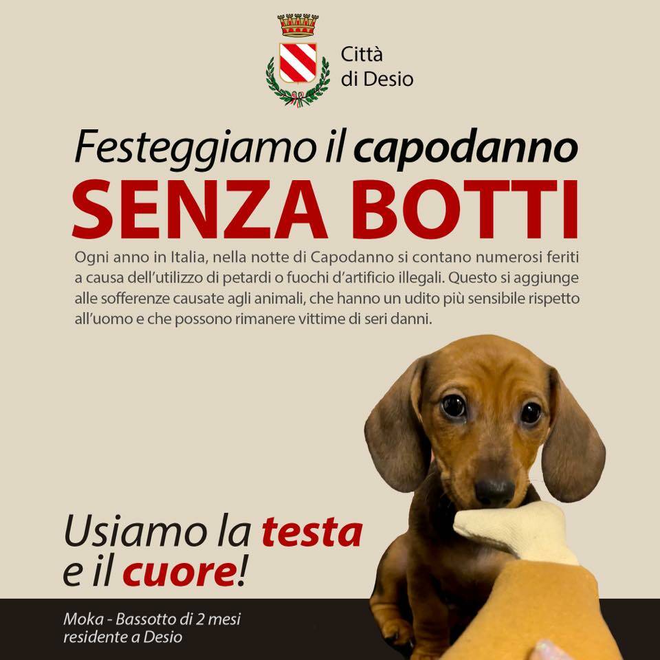 Stop botti; Desio