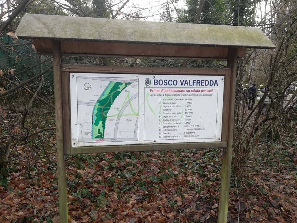 Barlassina sacchi di immondizia abbandonati nel bosco 1