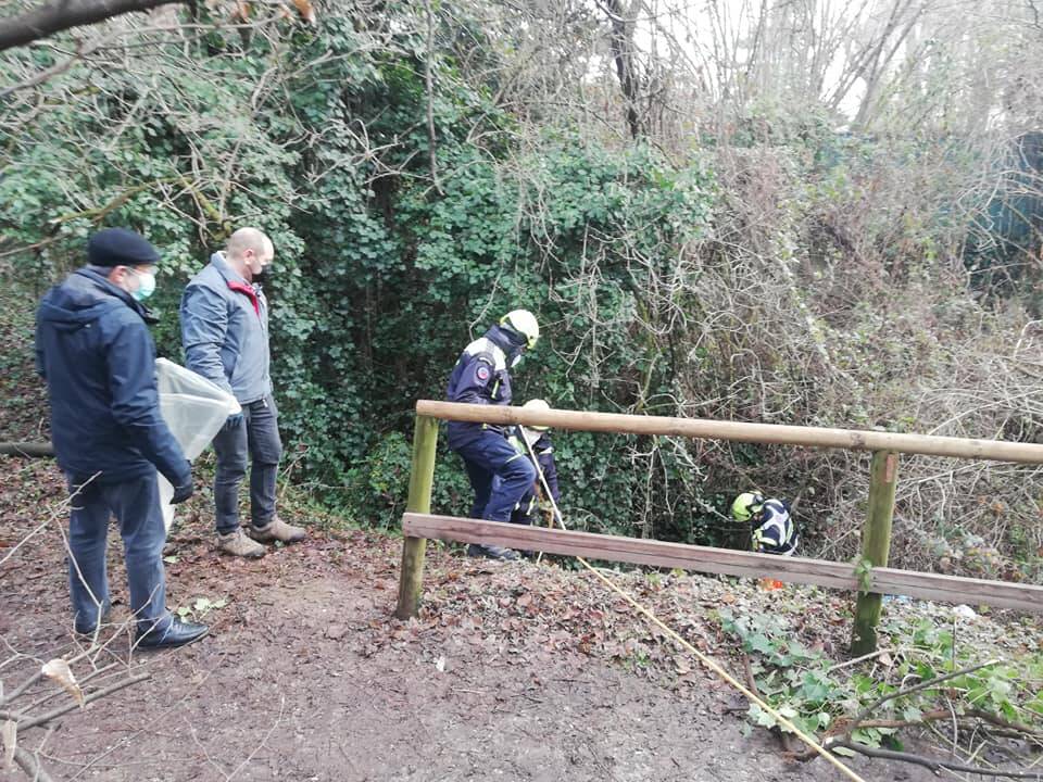 Barlassina sacchi di immondizia abbandonati nel bosco