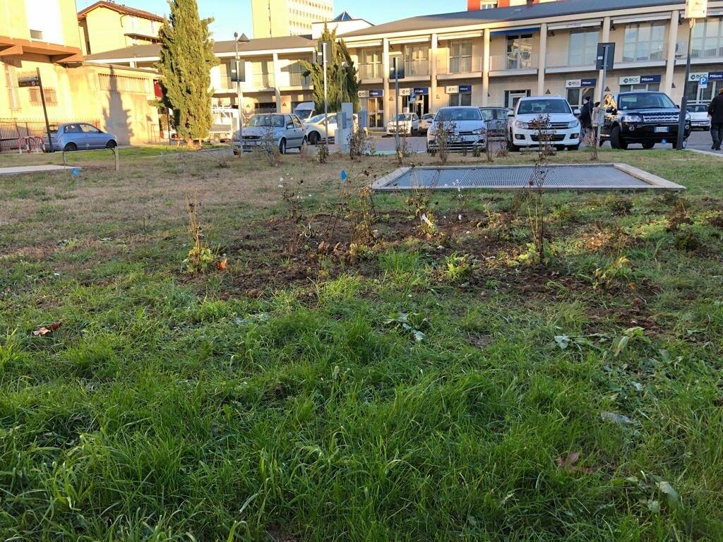 seregno riqualificazione di Piazza Donatori del Sangue 3