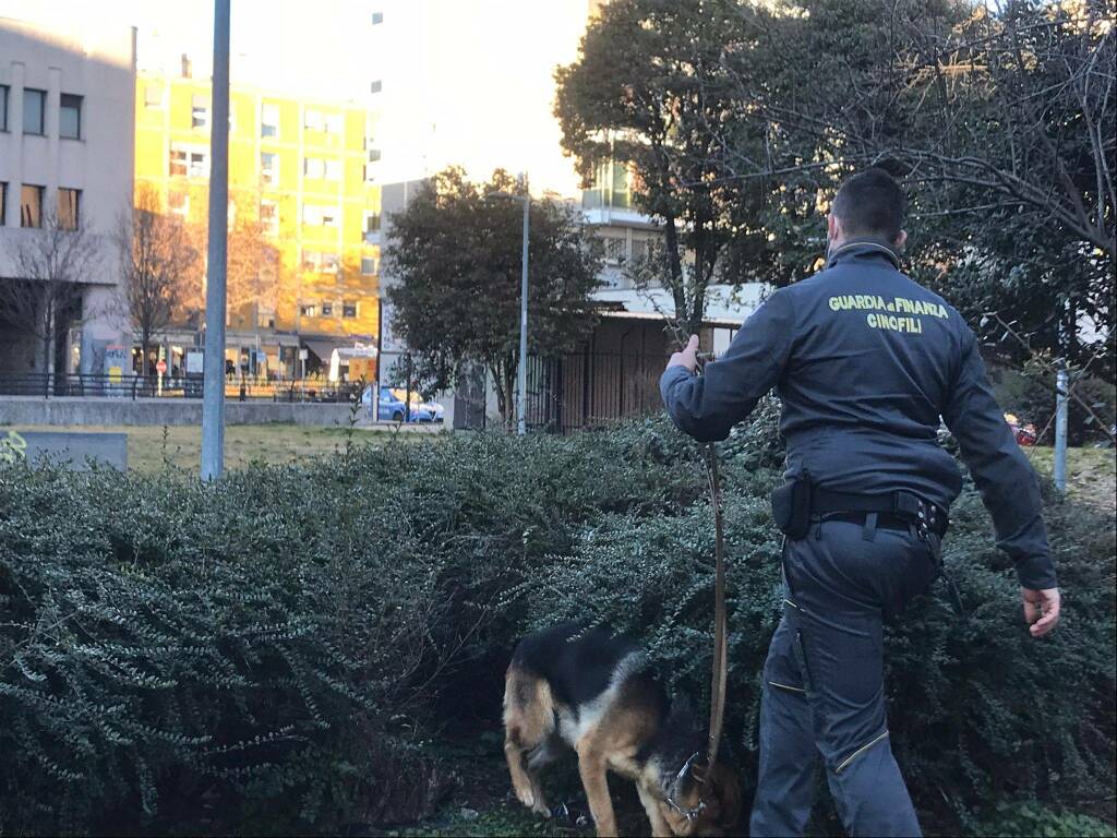 Monza, blitz antidroga: controlli ai giardini di via Artigianelli 