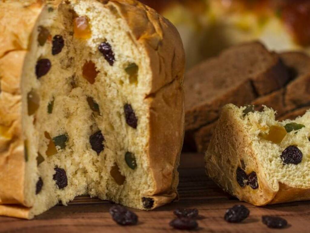 panettone-free-web