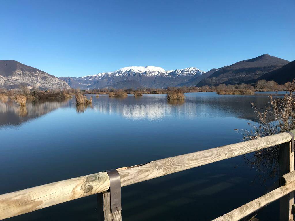 Riserva Naturale delle Torbiere del Sebino