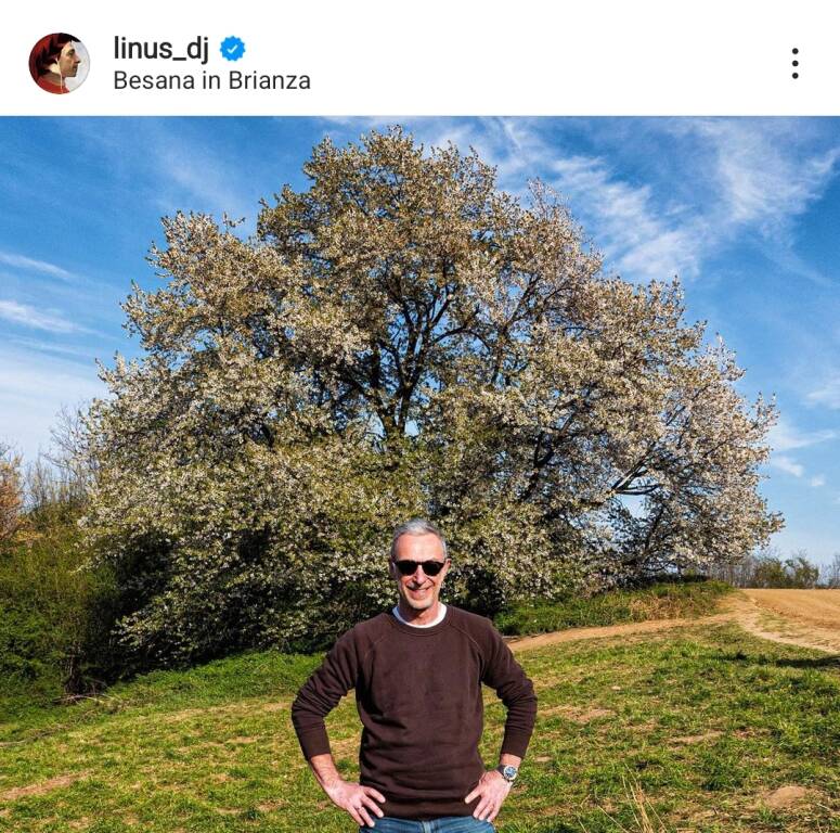 Linus dj ciliegio secolare instagram