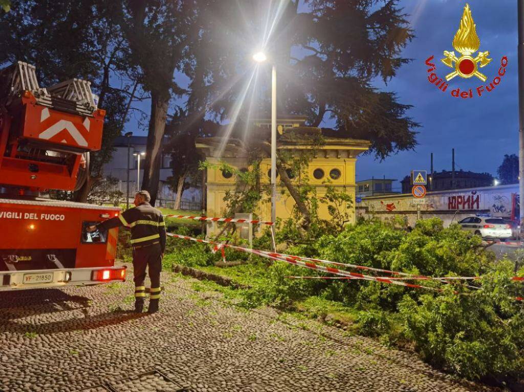 caduta rami info point monza