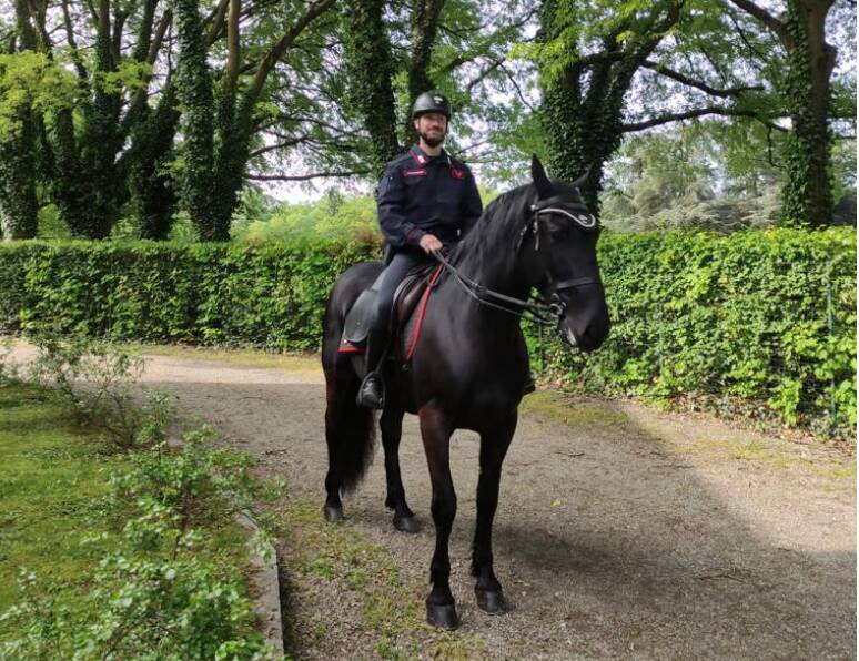 carabinieri a cavallo monza