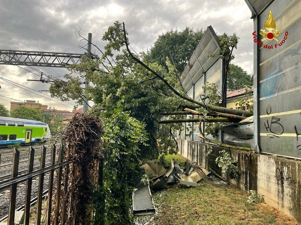 monza maltempo albero caduto via casati