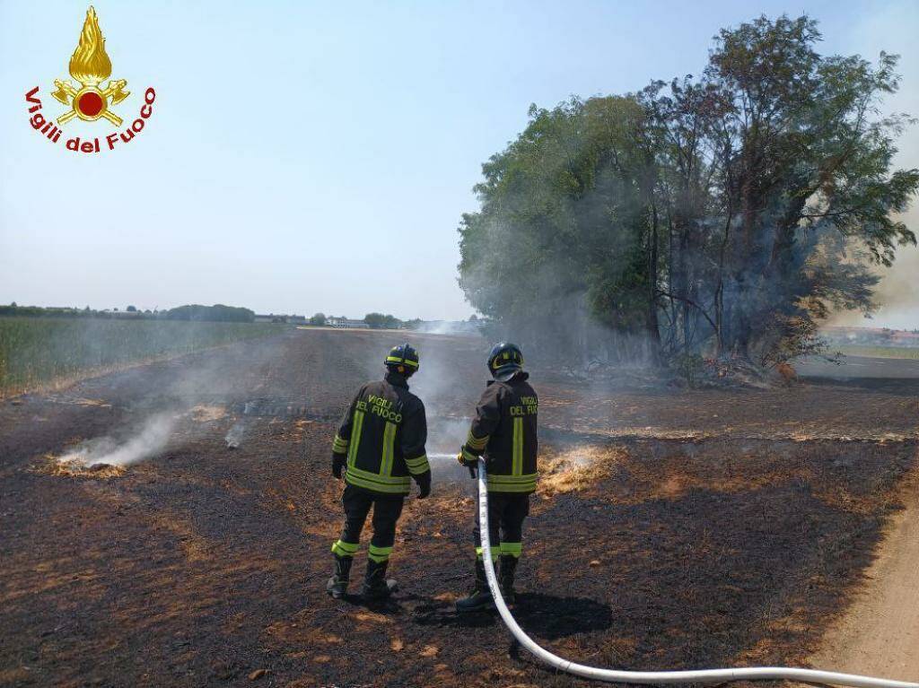 incendio sterpaglie Bellusco