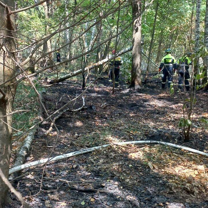 incendio parco delle groane 