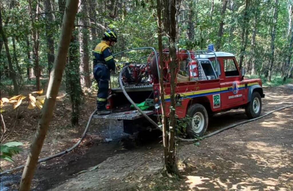 incendio parco delle groane