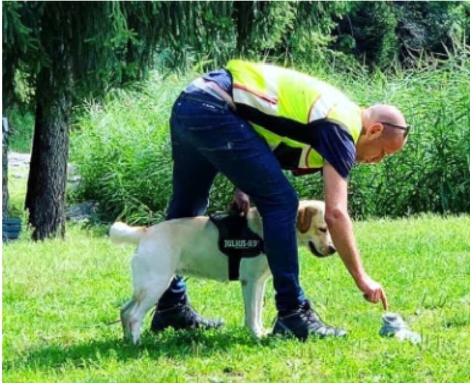 cani detective consonno