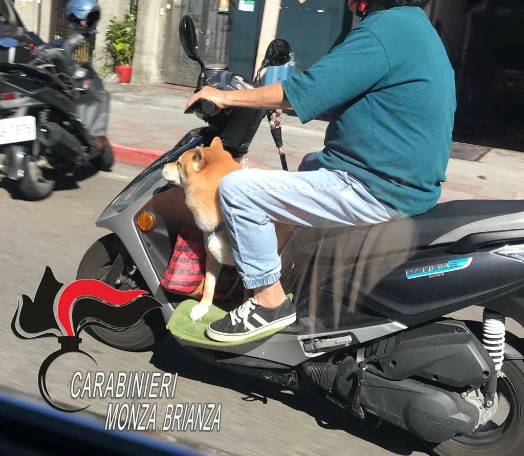 agrate evaso arresto scooter